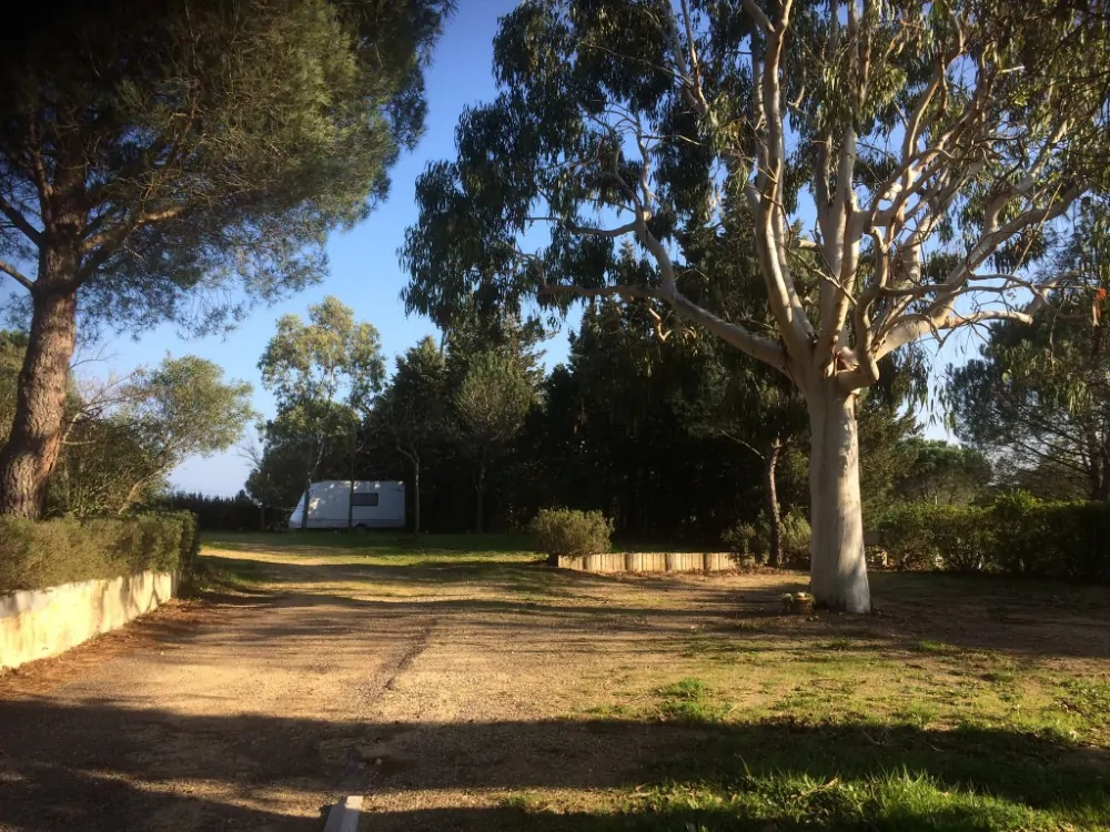 Camping-Aire-naturelle-Grimaud-5 Camping-Aire-naturelle-Grimaud-5