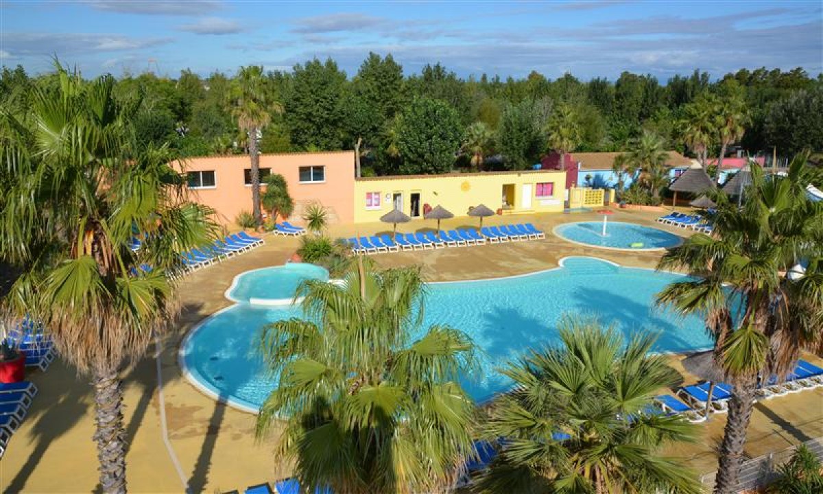 Camping-L-Air-Marin-palmbomen Camping-L-Air-Marin-palmbomen