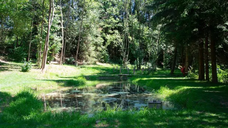 Camping Au Clos de la Chaume Glamping beekje 768x432