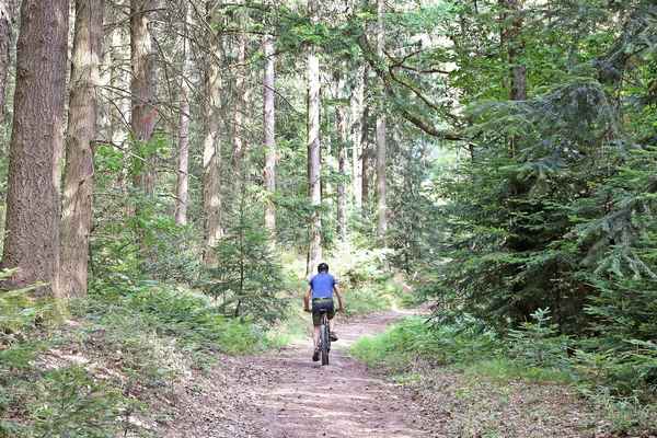 Camping Huttopia Wattwiller fietsverhuur