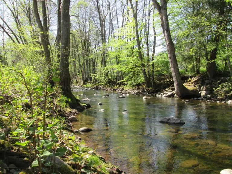 Camping Les Rives de la Doller rivier 768x576