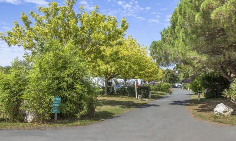Camping Domaine d Oléron staanplaatsen 768x461