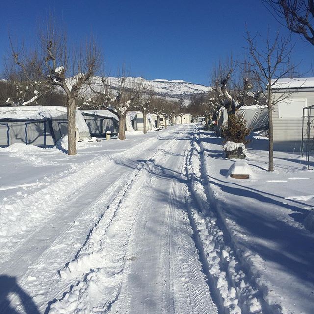 Camping Mas Piques wintersport