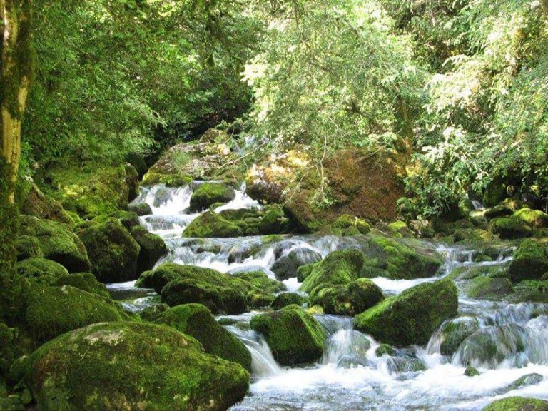 Camping Aire Naturelle de Les Cerisiers omgeving 768x576