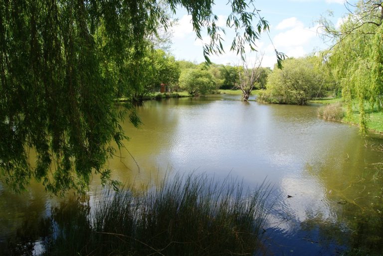 Camping Domaine de Bellevue karpervissen 768x514