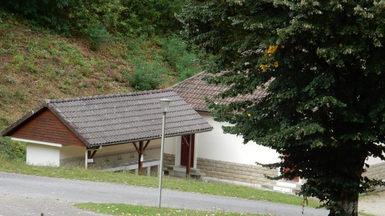 11 768x432