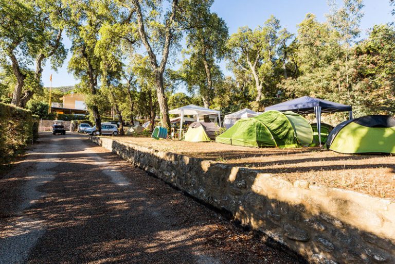 Camping Des Mimosas Argelès sur Mer staanplaats 1 768x513