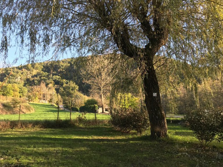 Camping les Berges du Doux Ardeche staanplaats 768x576
