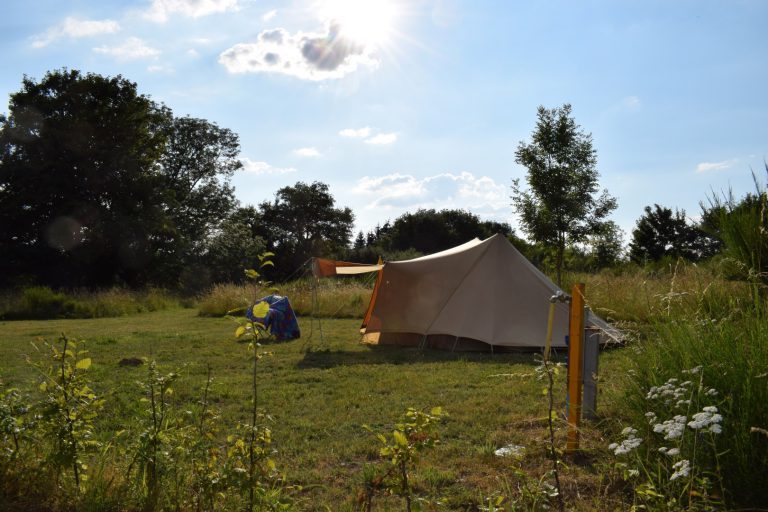 Camping Domaine Des Rêves staanplaats 768x512