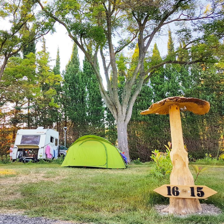 Camping Porte Des Alpilles staanplaats 768x768