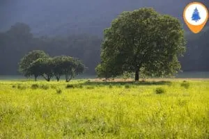 Natuurcampings in Frankrijk