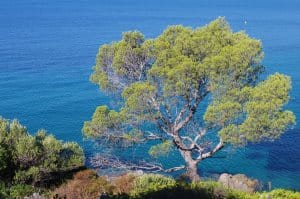 Campings aan de Côte d'Azur