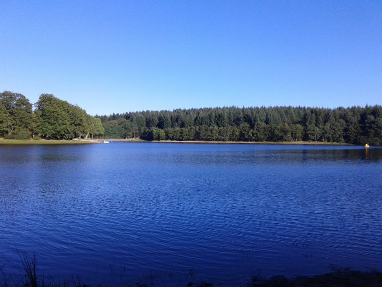 Camping de l Étang du Merle  768x576