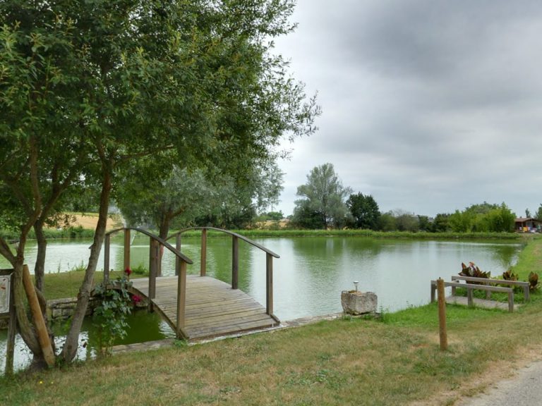 camping piscine spa nature lot et garonne aquitaine 10 768x576
