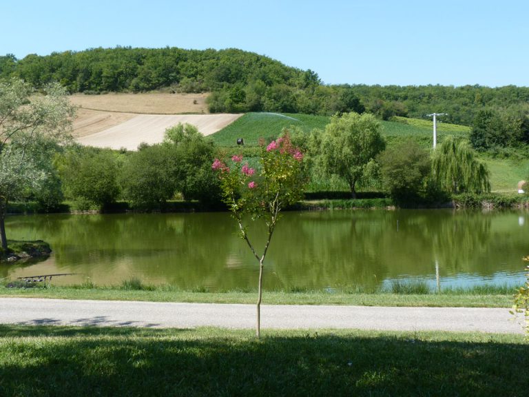 camping piscine spa nature lot et garonne aquitaine 27 768x576