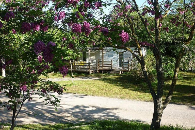 Camping Durance Luberon 768x512