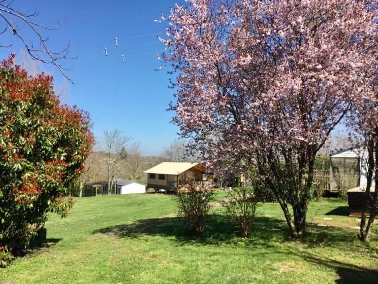 Camping Le Bas Larin Ardeche safaritent 768x576