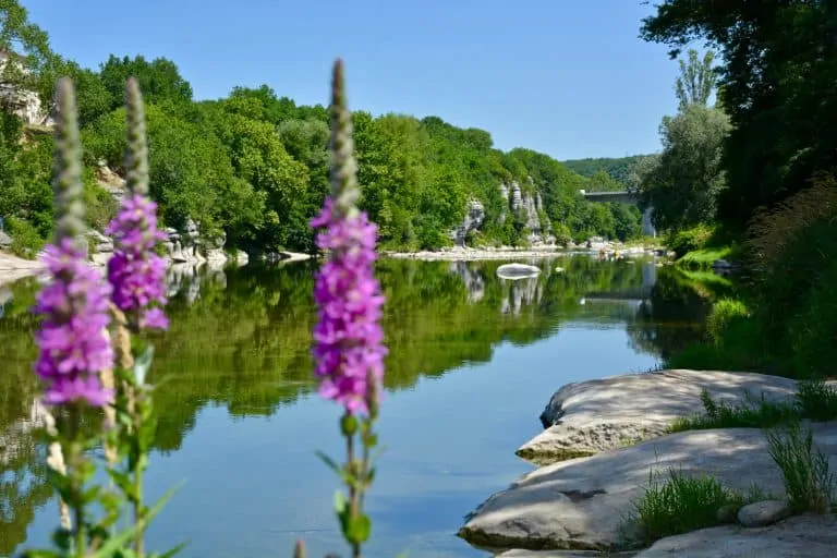 Camping Les Peupliers Ardeche 768x512