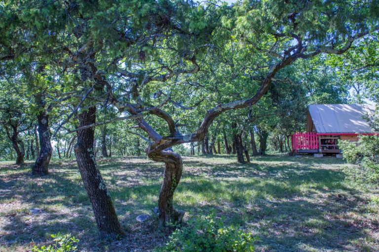 Camping Nature L Ombrage Ardeche safaritent huren 768x512