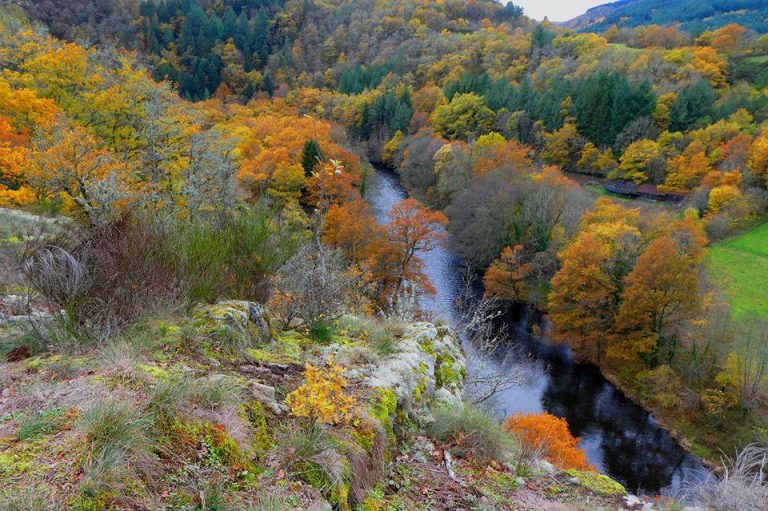 118026574 3642849739082520 7289414695751232315 n 768x511