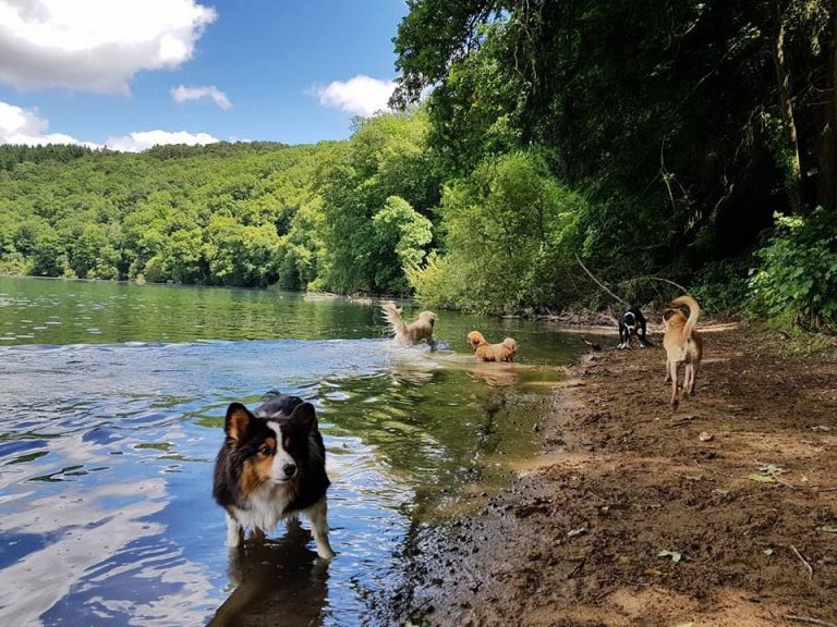 128612343 3966790060021818 8140248038790260911 n 768x576