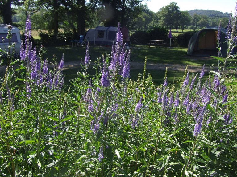 138378606 860000438130548 2429762585271262622 n 768x576