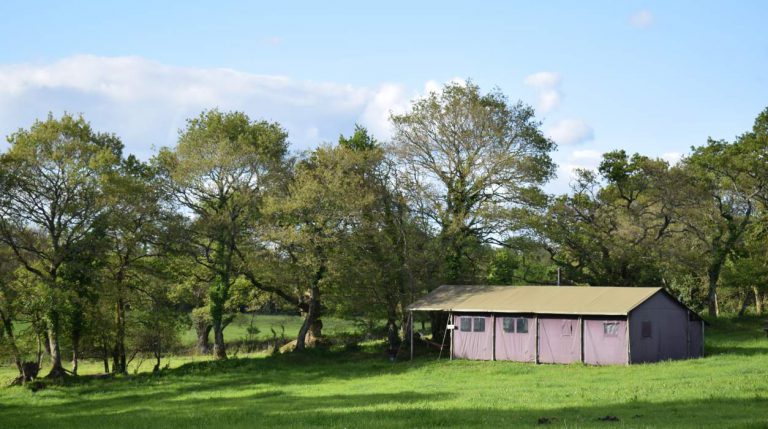 Boerencamping La Ferme de Penquelen Huella safaritent 768x429