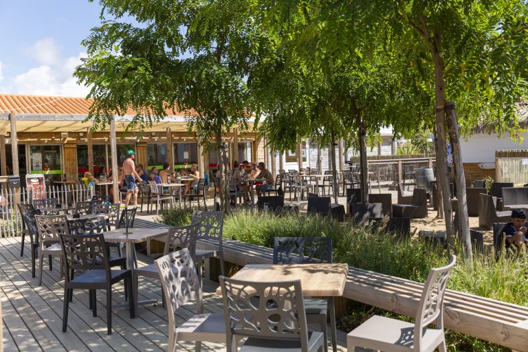 Camping Domaine de l Oree terras 768x512