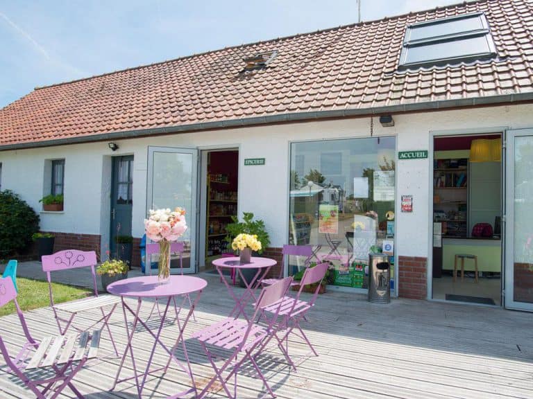 00000491530 1 768x576