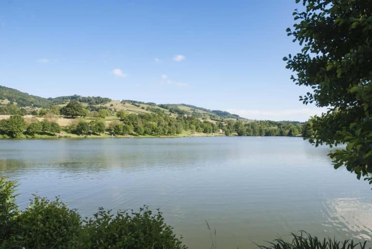 00000724332 1 scaled 768x514