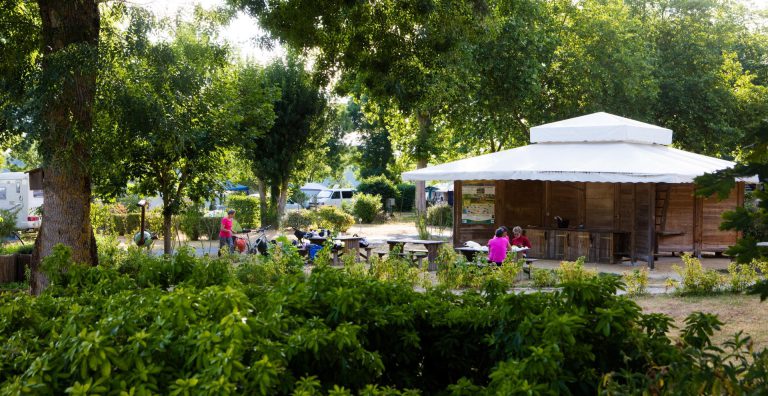 000008600921 768x396