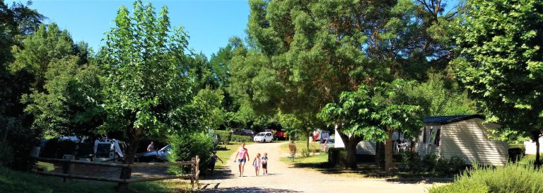 00000907556 1 scaled 768x273