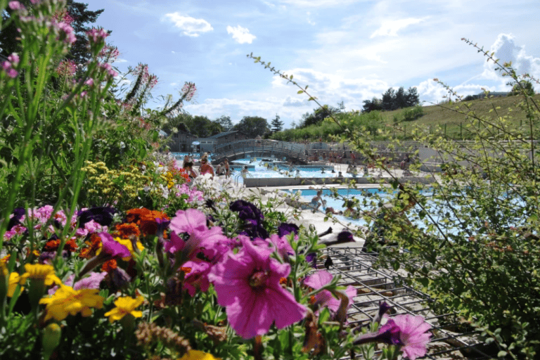 00001061866 1 768x512