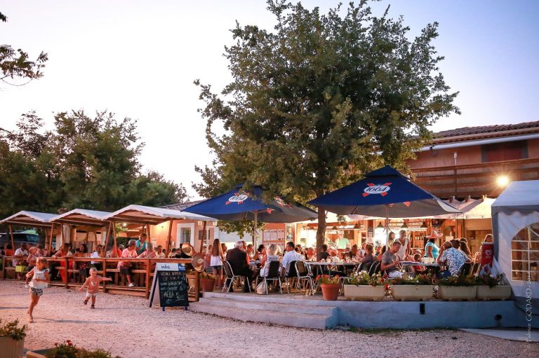 000009250771 768x511