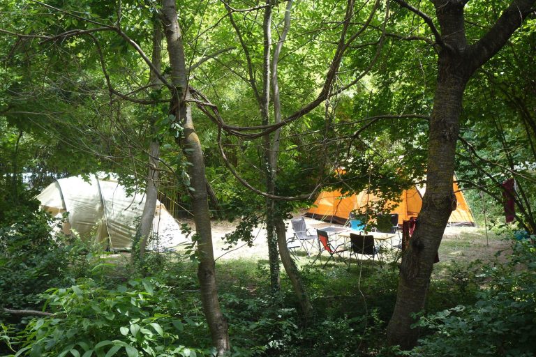 000008545031 768x512