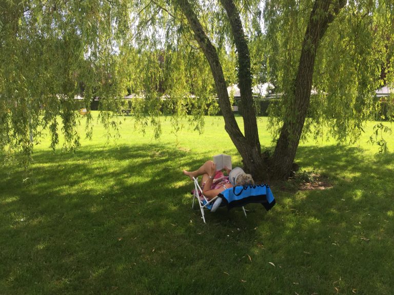 000008772361 768x576