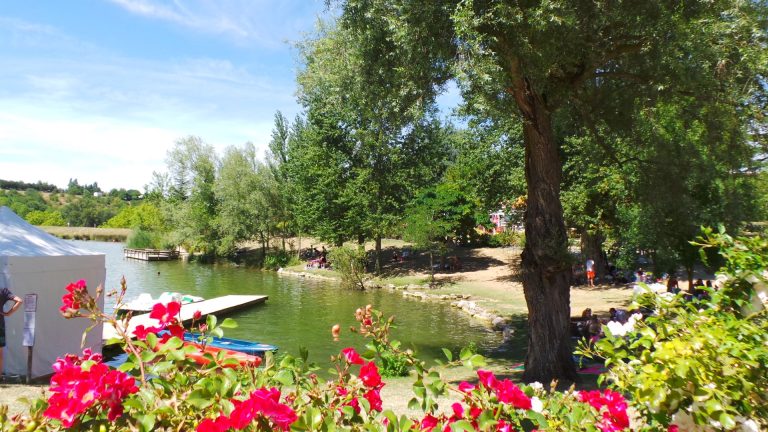 000009064141 768x432